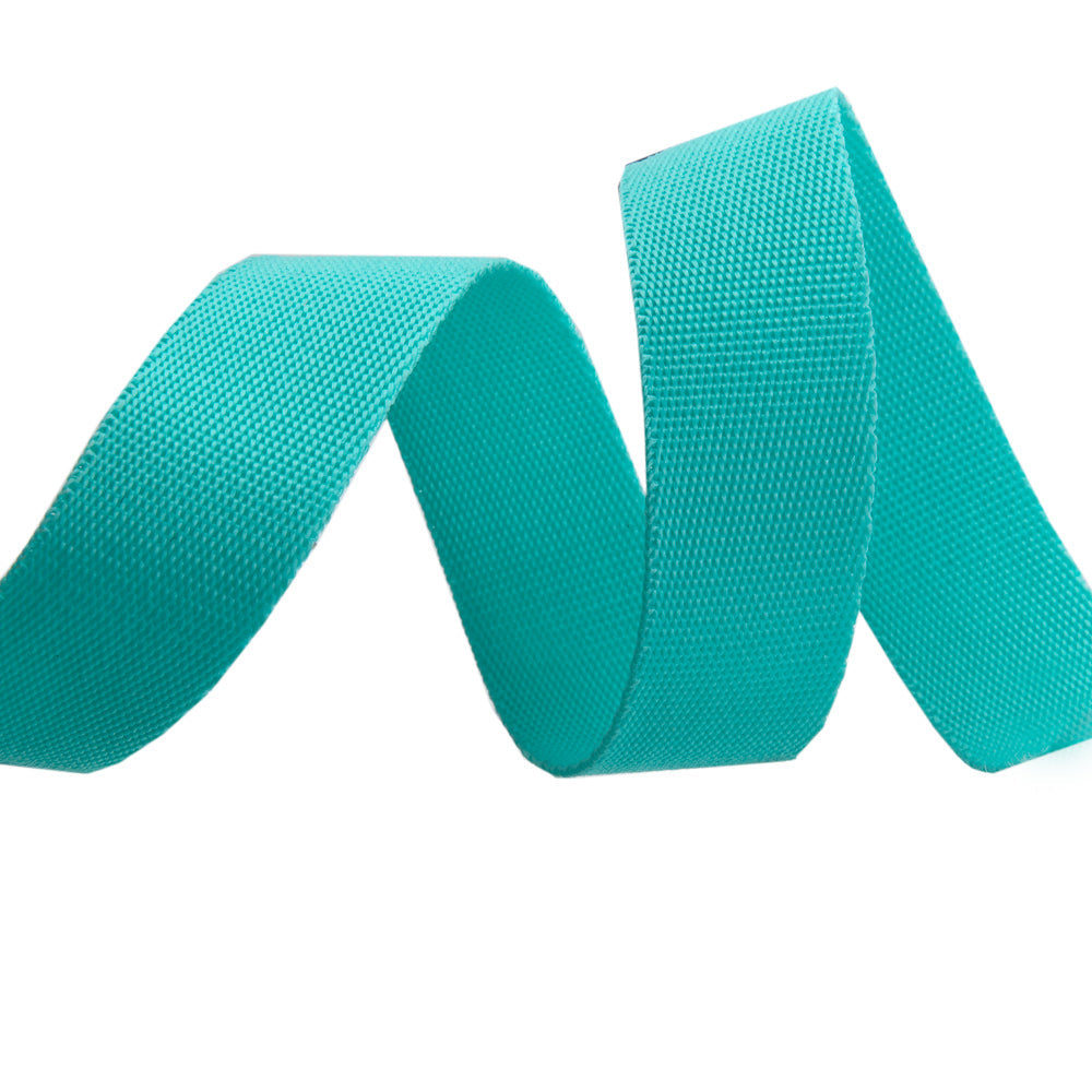 Rems & Ends: 1" Tula Pink Neon Nylon Webbing - Spirit - 88"
