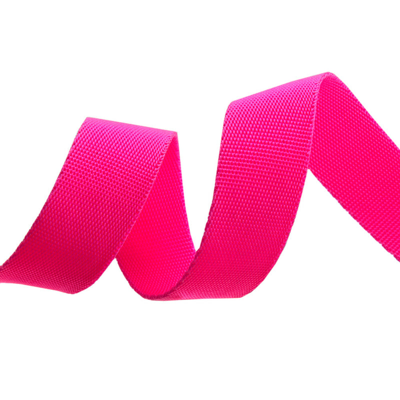 1" Tula Pink Neon Nylon Webbing - Cosmic - 1/2 Yard