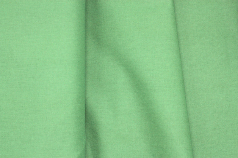 AMB Solids: Forest - 1/2 Yard